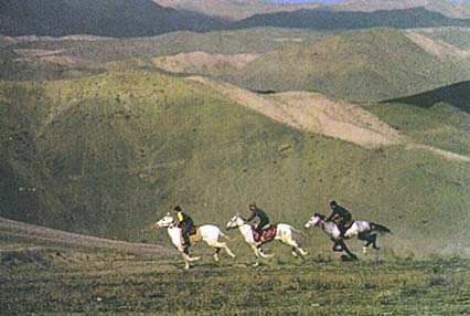 Turkman P19