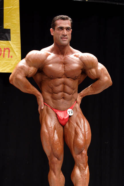 Resultado de imagem para Faramarz Aghazadeh bodybuilder