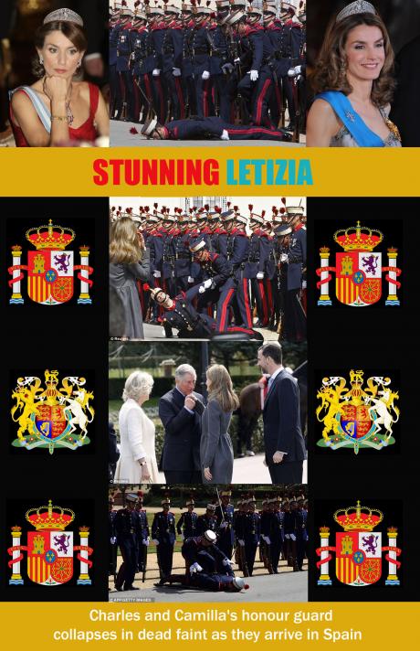 STUNNING LETIZIA: Spanish Royal Guard Faints During Royal Visit ;0)