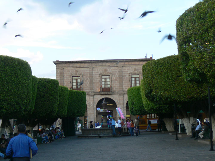 morelia068
