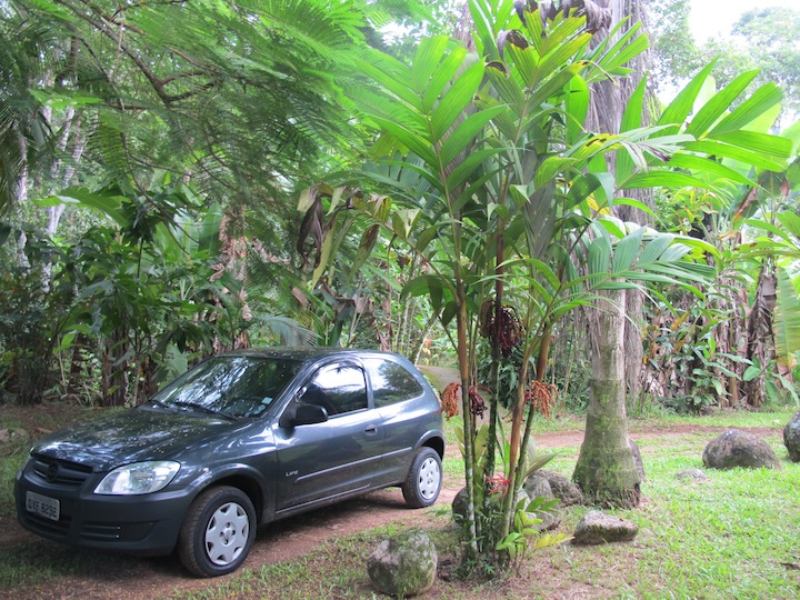 paraty046