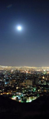 Tehran Nights