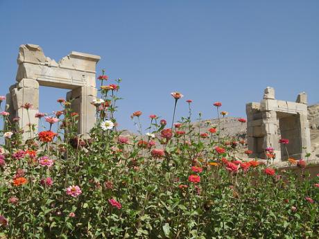 روزی می‌‌آید ...