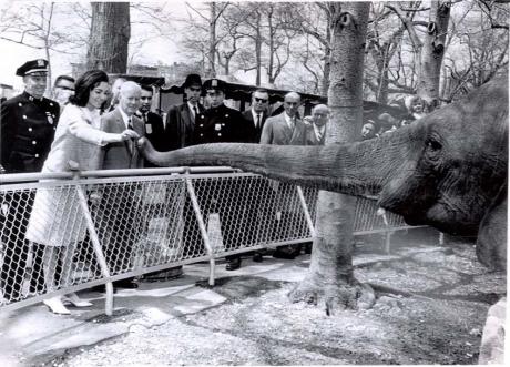 ROYALTY IN NY: Farah and the Elephant of the Bronx (1962)