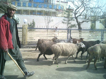 Afghanistan: Snow, rain, mud, conflict