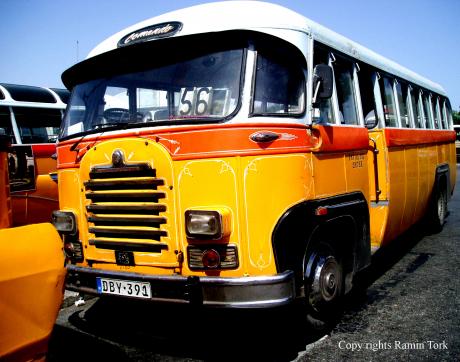 Picture of the day - Maltese Buses