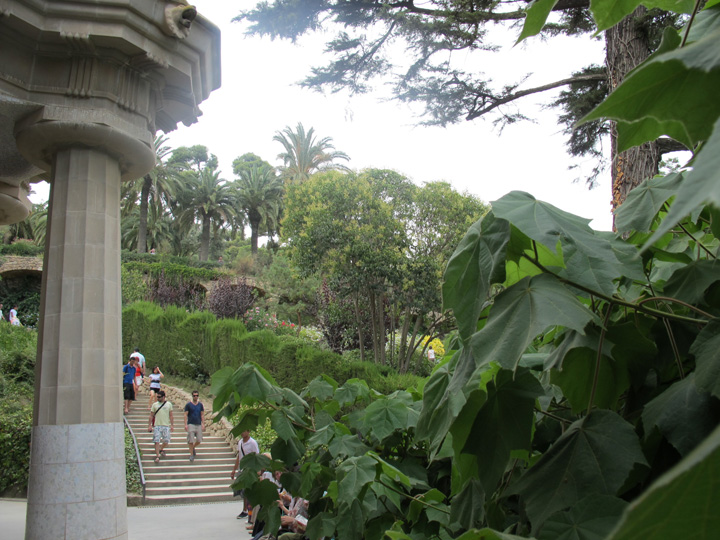 guell036