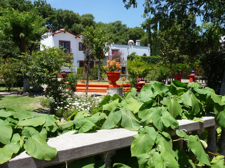hlos037
