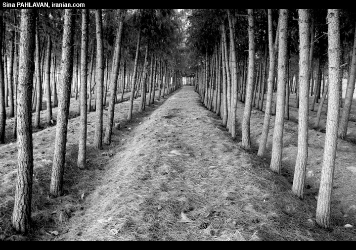 kpahlv043