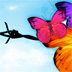 The Butterfly Revolution