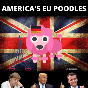 America's EU Poodles