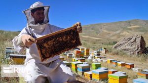 Iran is one of the largest producers of honey